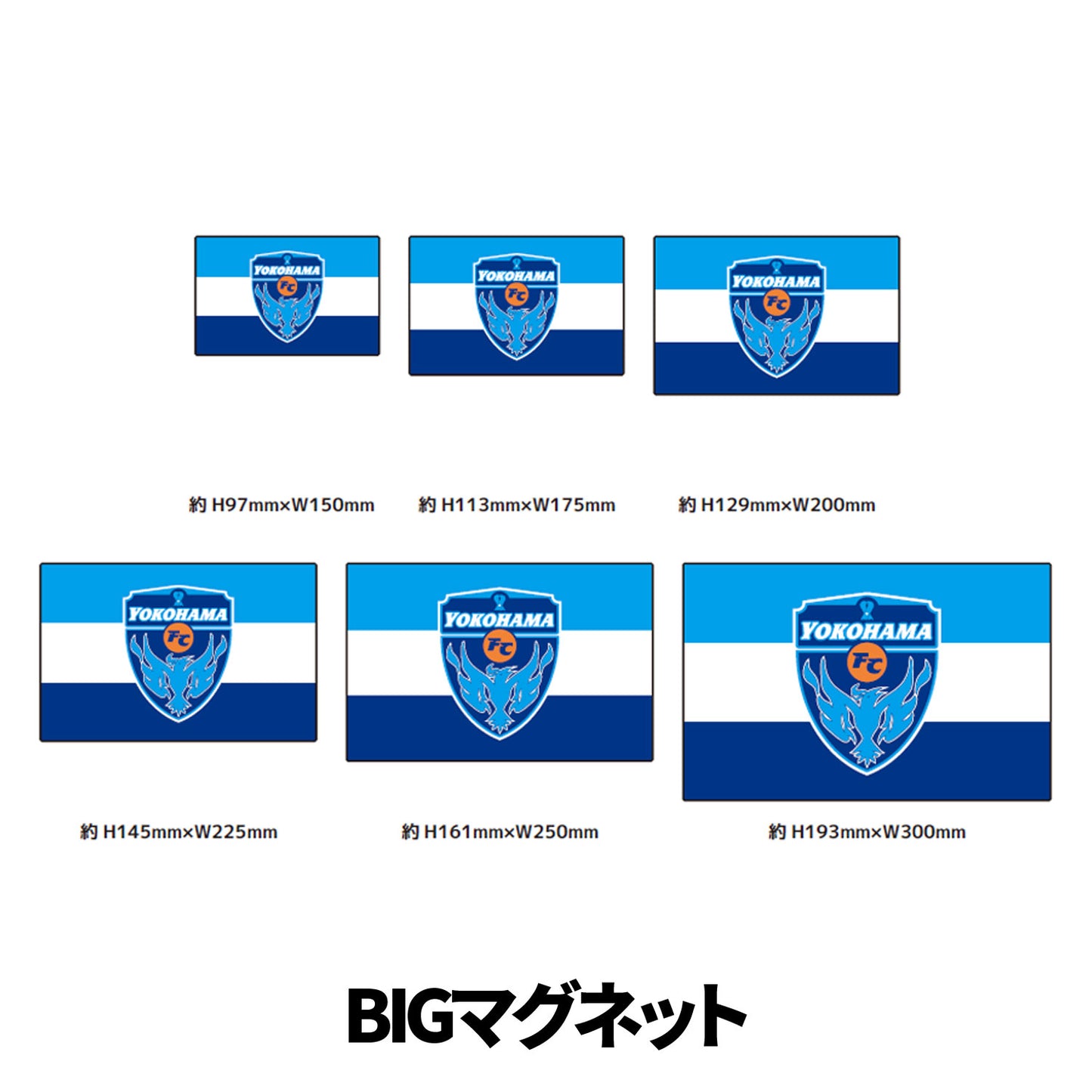 【オンライン限定】フラッグBIGマグネット