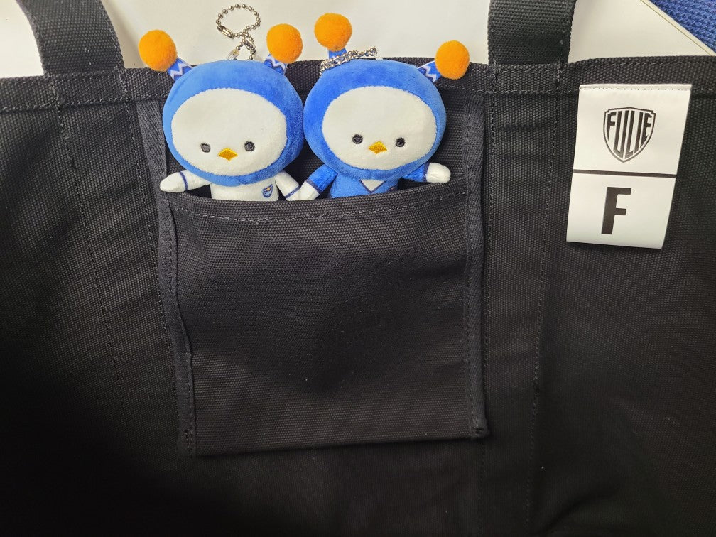 COACH TOTE