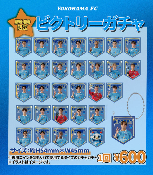 《ビクトリーガチャ》明治安田Ｊリーグ百年構想リーグペナント型キーホルダー