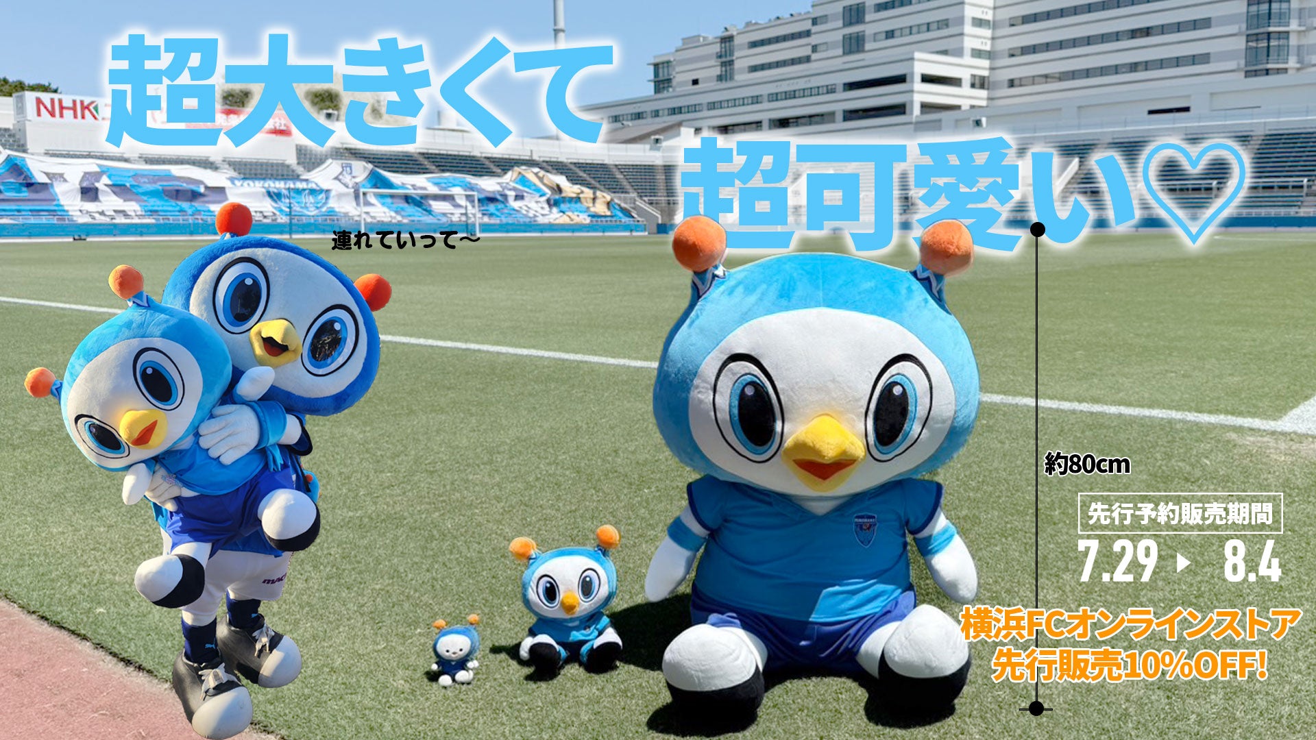 YOKOHAMA FC ONLINE STORE | 横浜FC・公式オンラインストア
