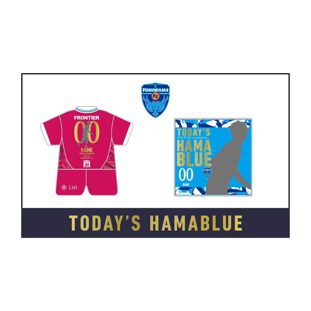 【ピンバッジセット】2/22栃木シティ戦TODAY'S HAMABLUE