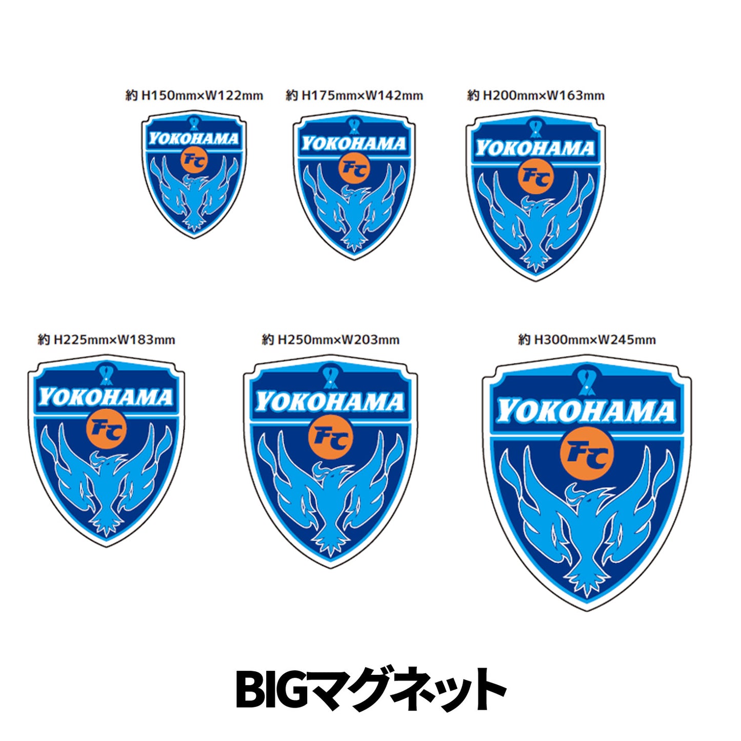 【オンライン限定】エンブレムBIGマグネット