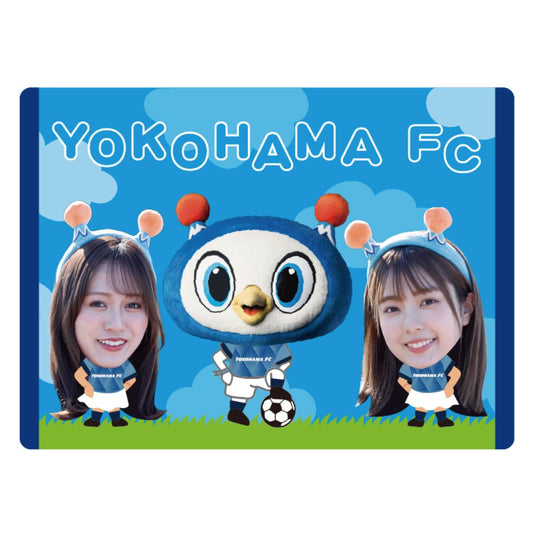 三田萌日香&堀口真帆コラボステッカー